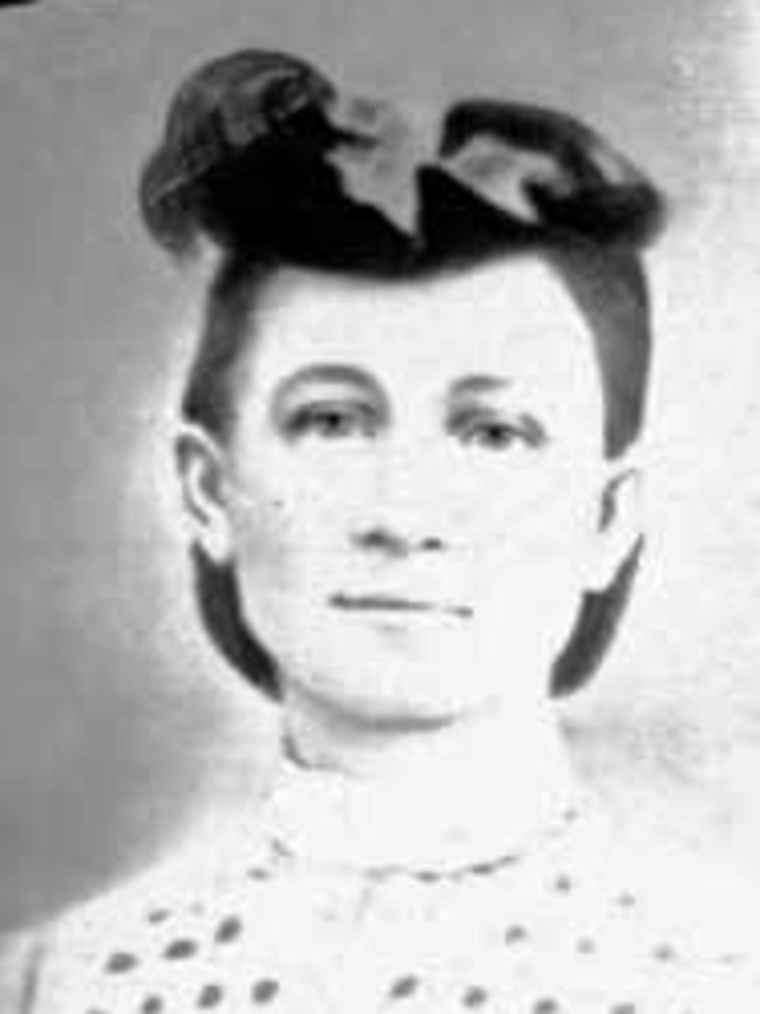 Mary Elizabeth Lay (1846 - 1902) Profile